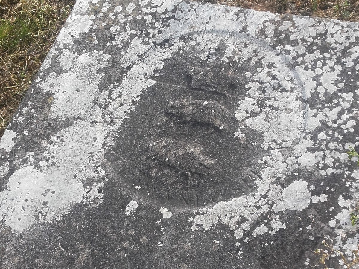 The Savage Pigs of&nbsp;Tulla